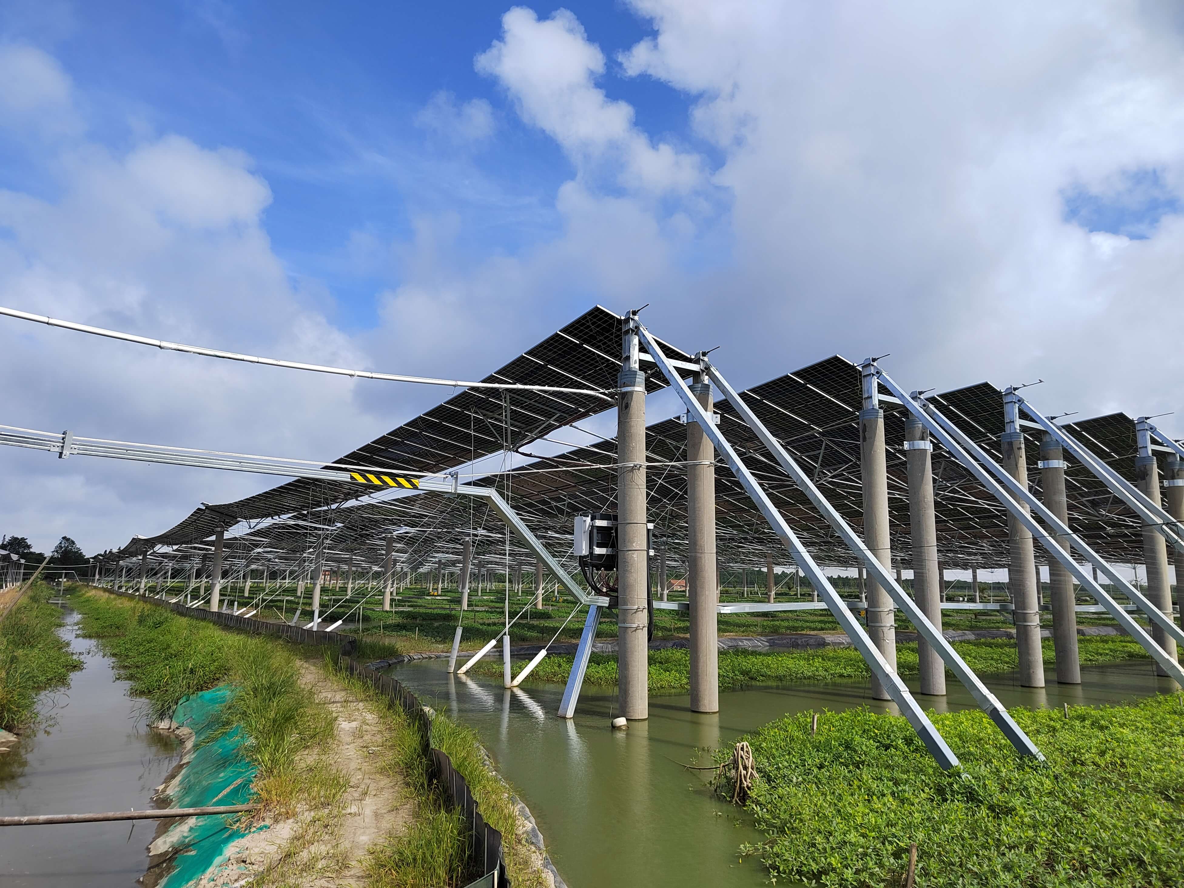 Projecto Híbrido Pesca-Solar da Chongming Island